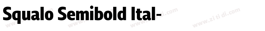 Squalo Semibold Ital字体转换